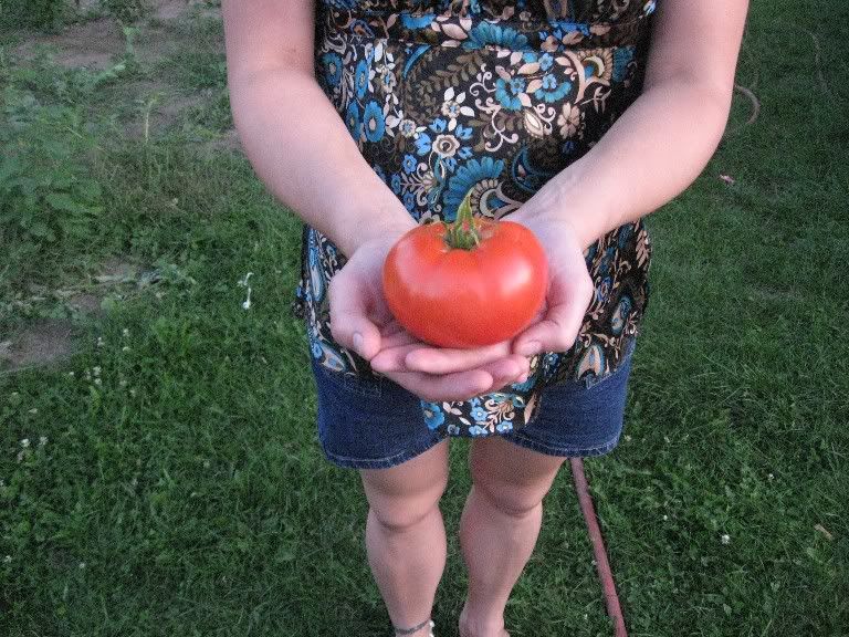My first tomato of the year