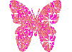 Pink Buterfly