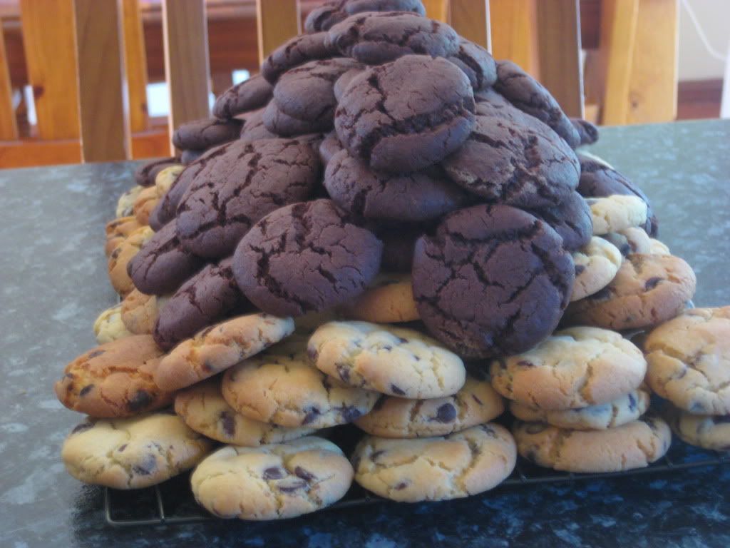 A Mountain of Biscuits