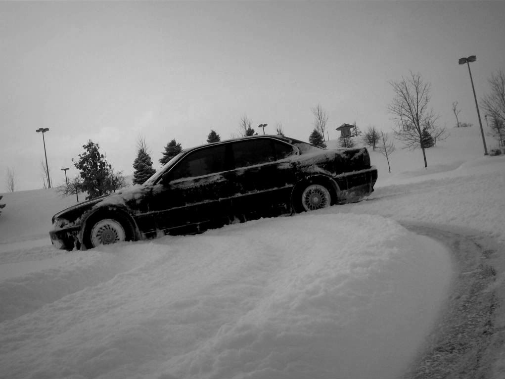 Bmw 745i in the snow #1