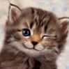 cat_wink.jpg