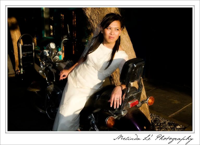 Photobucket Image Hosting