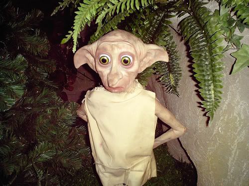 waxdobby.jpg