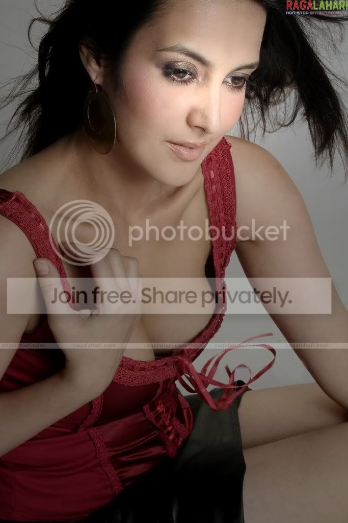 tulipjoshi223.jpg
