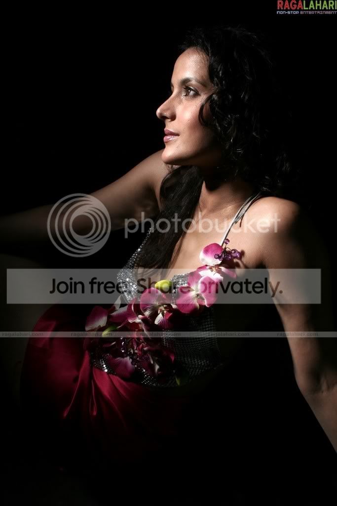 tulipjoshi232.jpg