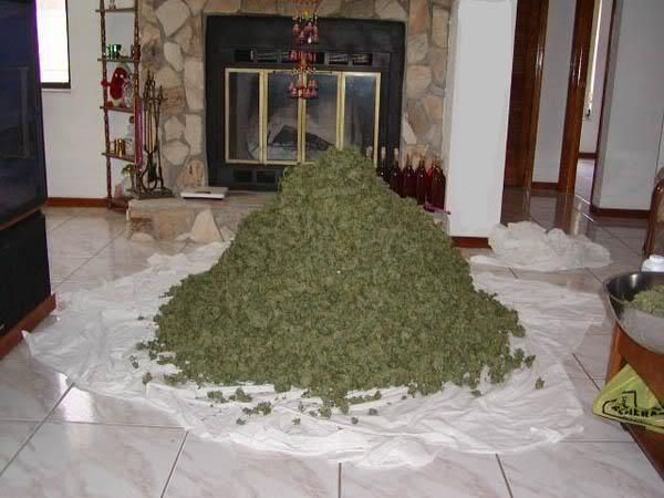 https://i228.photobucket.com/albums/ee37/Middleeaster/2003547082693021874_rs.jpg